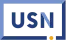 U.S. Nursing logo
