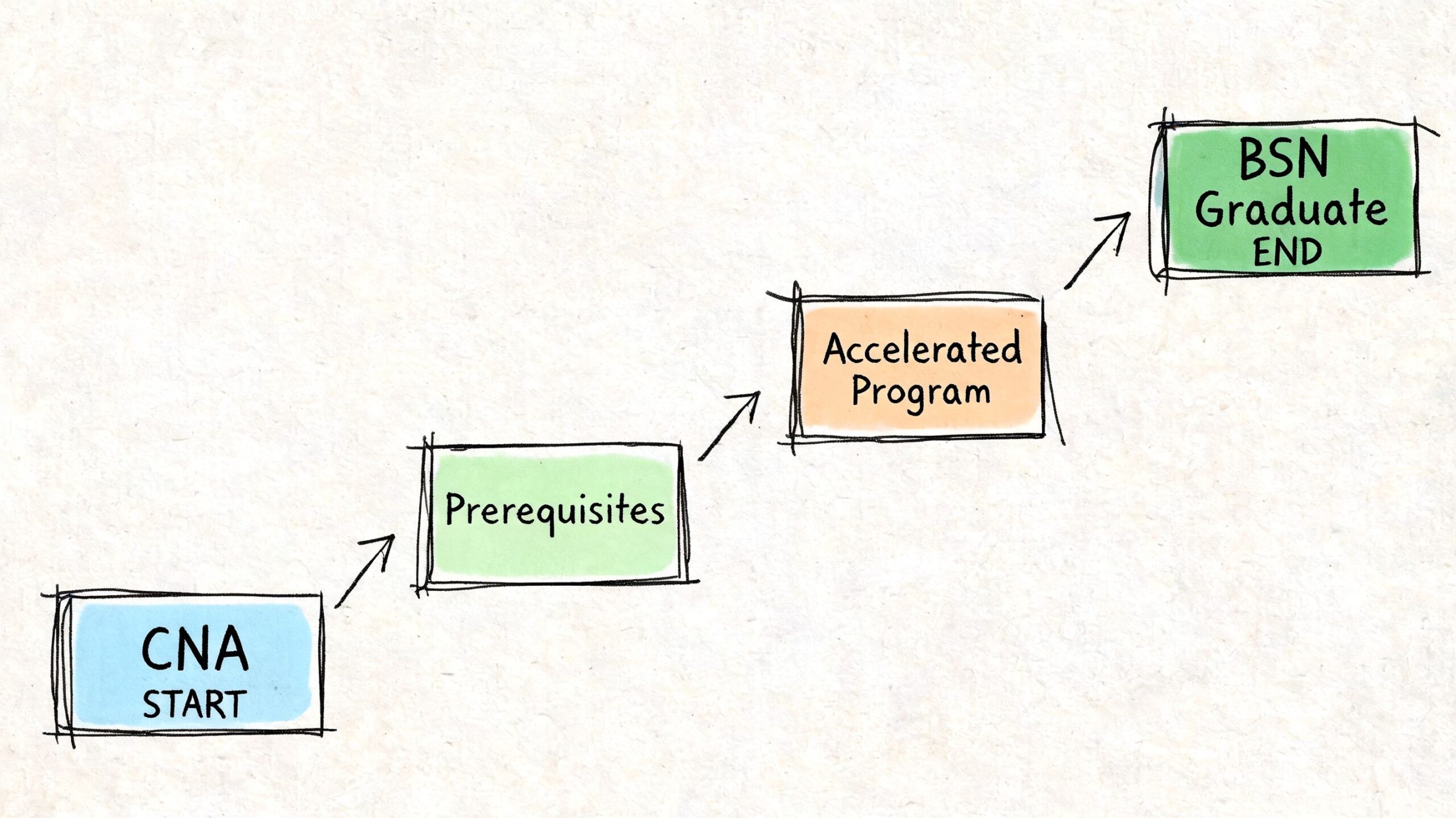 A flowchart showing the educational path from CNA to BSN graduation through prerequisites and an accelerated program.
